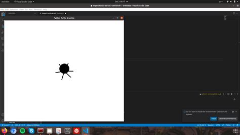 Image result for How to Get Turtle with Python in vs Code Set Up
