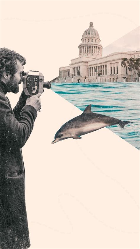 Examples of Collage 的图像结果