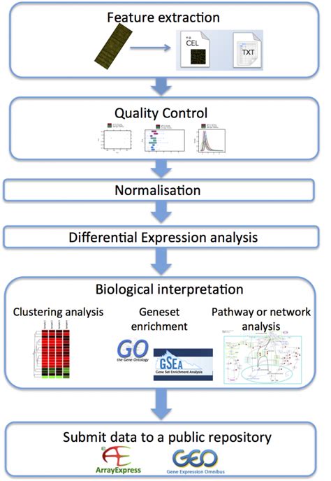 Image result for Microarray Tutorial