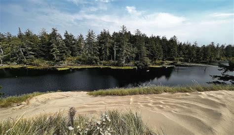 Ten Mile Dunes: The Little-known Dunes of Mendocino - Surf the Sand