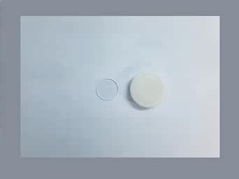 Perfect Ocular Micrometer 19mm Dimater with Eyepieces Microscope Scale ...