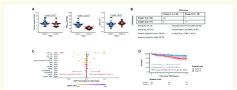 Image result for Extreme Gradient Boosting Algorithm