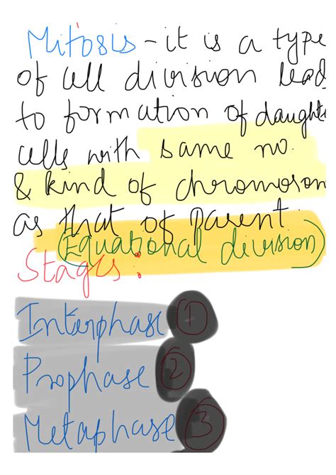 'tifosis- it is a type - Mitosis 1 is a type of all division lead to ...