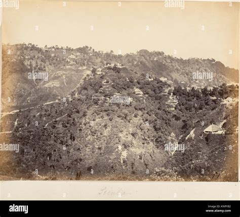 This illustration depicts a historical view of Simla, now known as Shimla, the capital city of ...