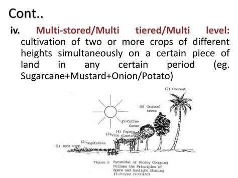 Image result for Cropping System Types