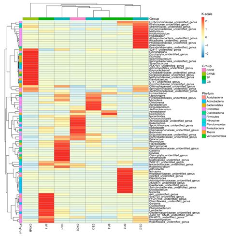 C058 and Other Functional Microorganisms Promote the Synthesis of ...