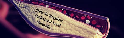 The Ultimate Grocare Solution To Regulate Cholesterol Level – Grocare ...