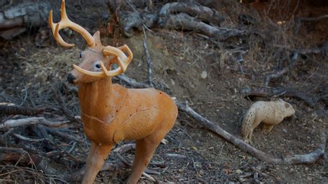 Image result for Scope Magnification Guide