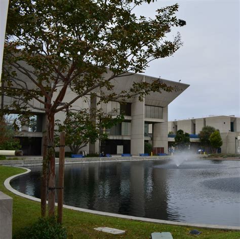 Rising Scholars Introduces New Ways to Support Students | On-Campus ...