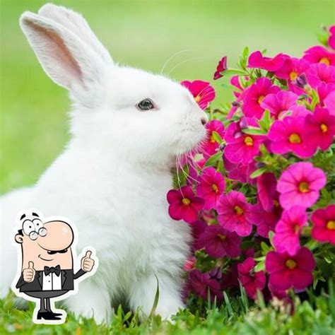 Menu at Mazdoor canteen, Hyderabad