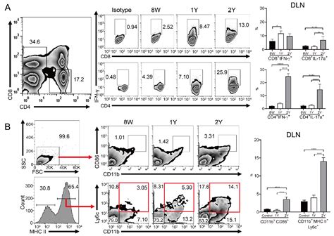Comparative Analysis of Age-Related Changes in Lacrimal Glands and ...