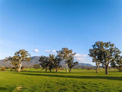 1036 Taggerty - Thornton Road, Thornton VIC 3712 - House for Sale - $11,000,000