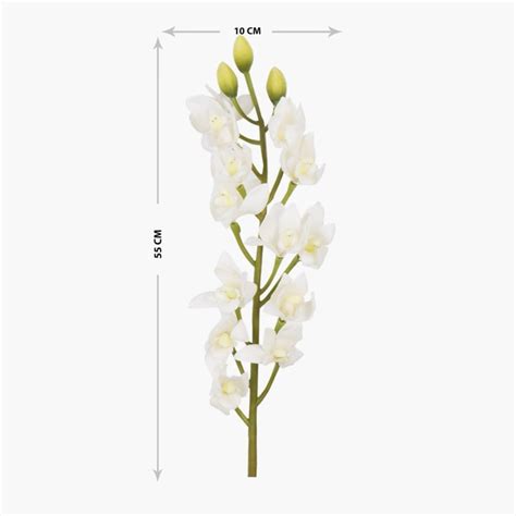 Buy Botanical Solid Artificial Plastic Flowers : 10 cm x 55 cm - White ...