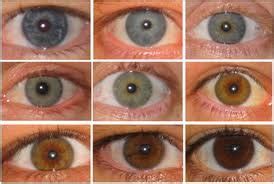 Image result for Iris Recognition Using MATLAB Source Code