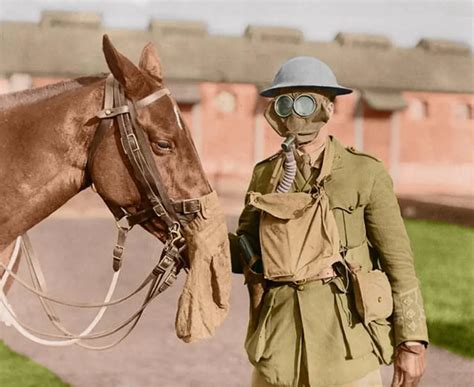Image result for WW1 Color