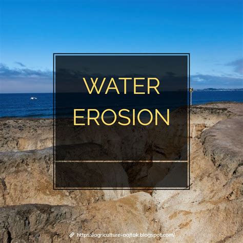 Water Erosion: Causes, Effects, and Management Strategies - Agriculture ...
