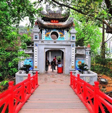 circuitos 的图像结果