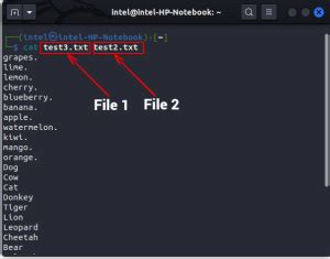 Image result for Linux Cat Two Files Together
