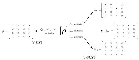 Q.Characterization : States & Dynamics : Q.Correlation : Machine Learning