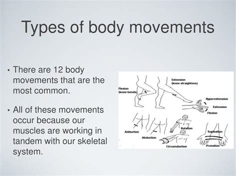 Image result for Muscle Movement Types