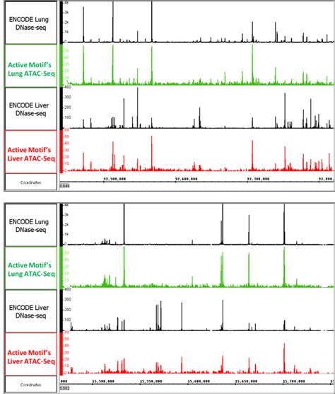 Image result for ATAC-seq Data Analysis
