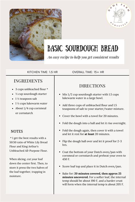 Basic Sourdough Bread Recipe: Beginner's Guide From Starter To Finish ...