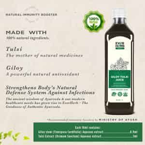 Buy EVERHERB GILOY TULSI JUICE - STRENGTHENS BODY DEFENCE SYSTEM ...