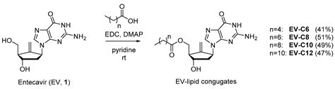 Synthesis and Physicochemical Evaluation of Entecavir-Fatty Acid ...