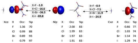 Decrypting the Unusual Structure and σ-Hole Interactions of the XC(NO2 ...