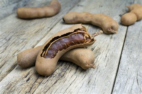 Tamarind Fruit Texture at Andrew Carey blog