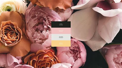 Image result for Wedding Color Planner