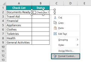 Image result for Checkbox in Excel Examples