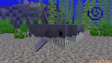 Image result for Minecraft Shark Command Block