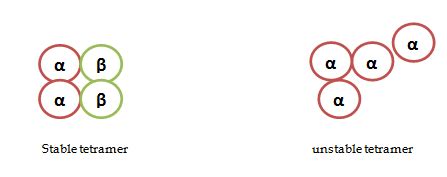 THALASSEMIA-TYPES & PATHOPHYSIOLOGY