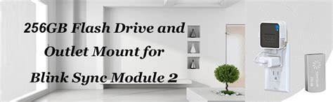 Blink Sync Module 2 Local Storage 的图像结果