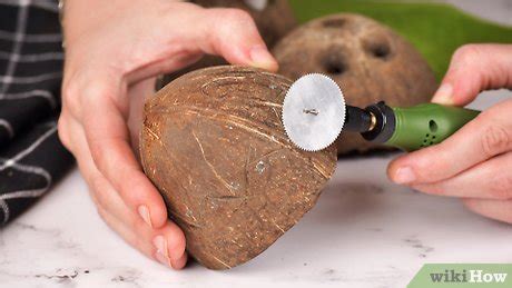 Image result for Coconut Shell Design