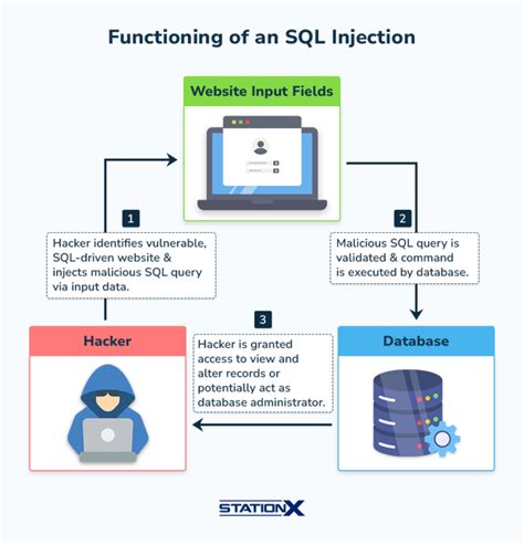 Sqlmap Tutorial Basics 的图像结果