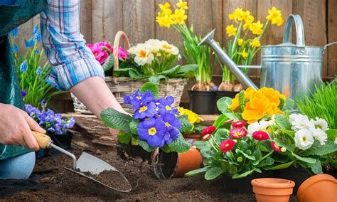 Image result for Spring Gardening Tips