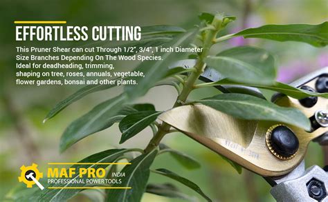 MAF Heavy Duty 8 Inch Garden Bypass Pruning Shears with Carbon Steel ...