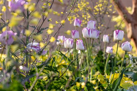 Photography in Nature 的图像结果