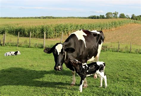 Cultural Resource Management Consulting | TRC Companies