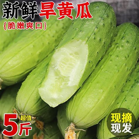 新鲜现摘旱黄瓜5斤水果小黄瓜当季孕妇蔬菜脆嫩青瓜生吃整箱包邮-Taobao