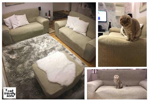 DECORATING WITH CATS: CAT FRIENDLY SOFA