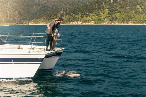 Marlborough's Best Full Day Tour - Klook India