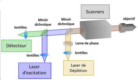 Image result for Microscope Schema Optique