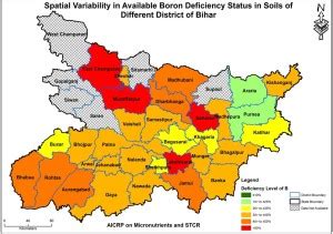 Bihar Map Photo Paper Print Poster Photographic Paper Photographic ...