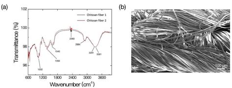 Procoagulant and Antimicrobial Effects of Chitosan in Wound Healing