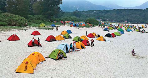 101z 777 01,In recent years