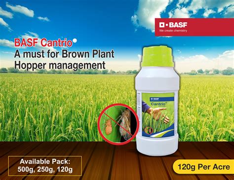 Solutions for Rice Growers | BASF Crop Protection India