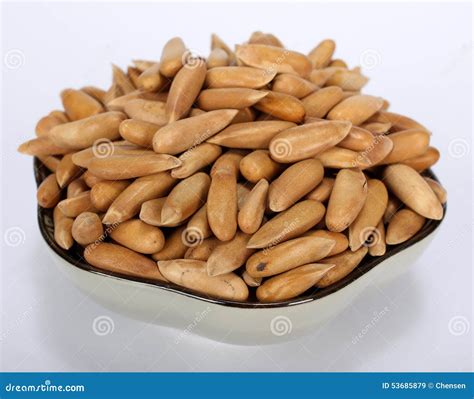 Pine nut stock image. Image of cone, kernel, cooking - 53685879